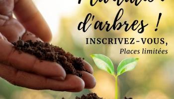 PROJET DE PLANTATION D’ARBRES